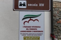 IMG_0856
