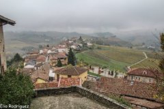 IMG_0868
